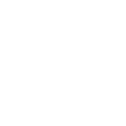 back (4)